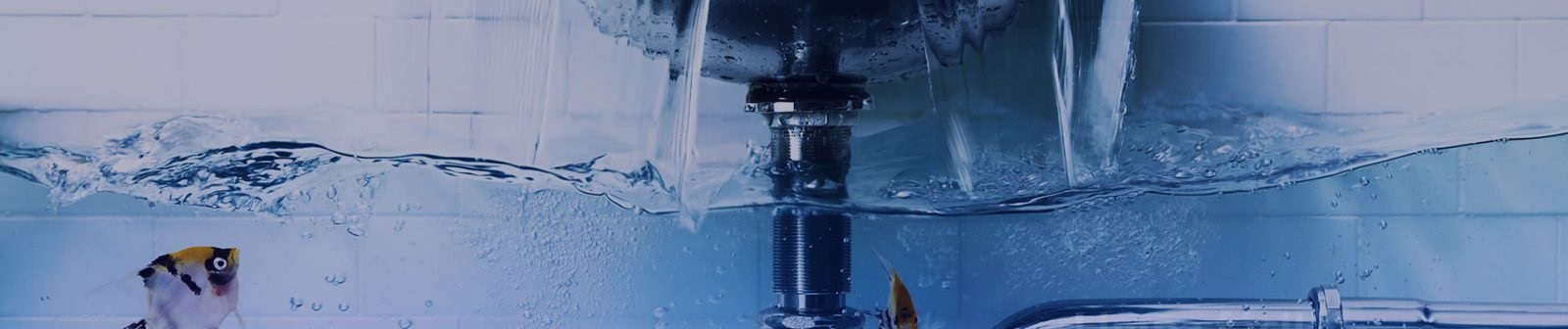 MARCELO HIDRÁULICA (ENCANADOR) (CAMBORIÚ/SC), desentupidoras rj